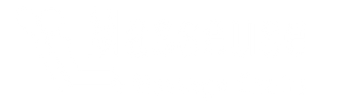 Masseuse Massage Chair