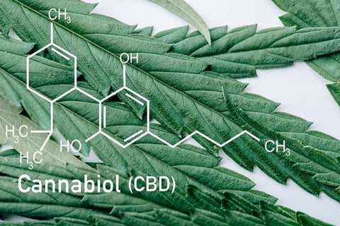 cbd cannabidiol cbdtechfr