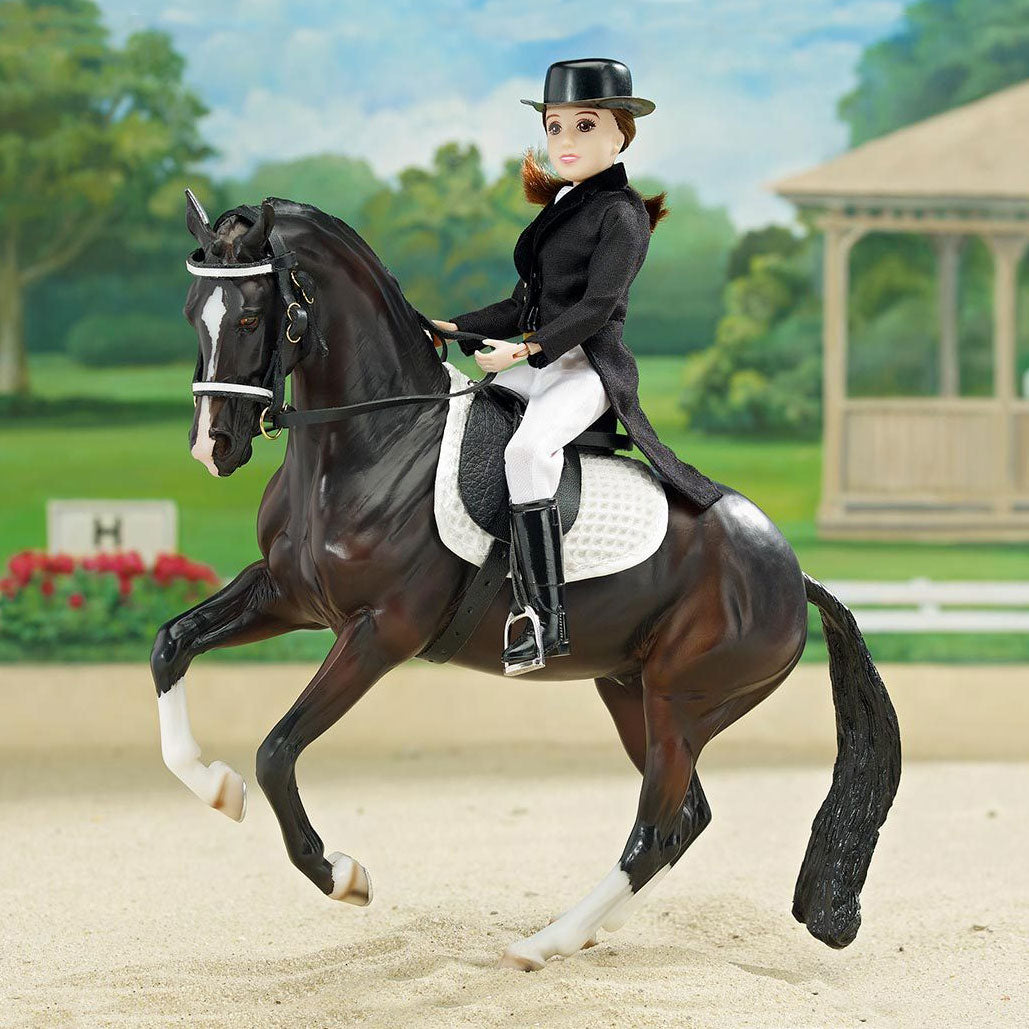 dressage tack