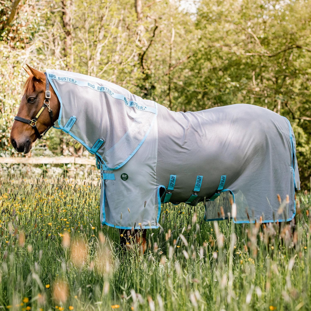 purple horse fly sheets