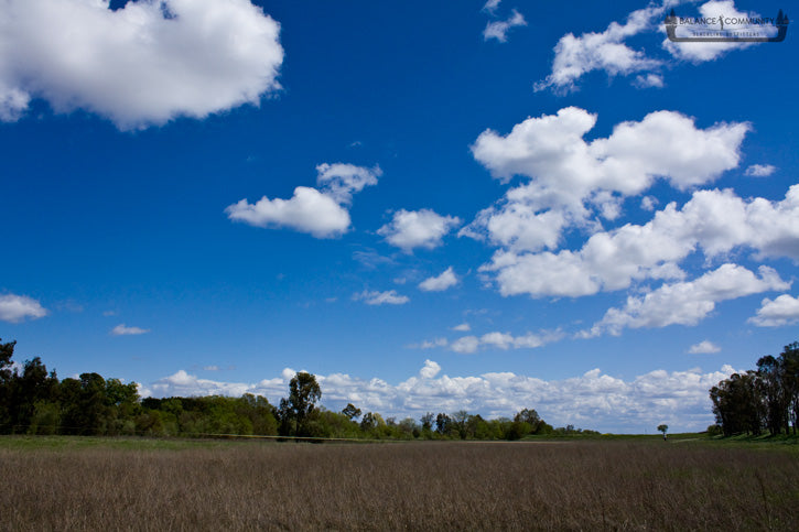 A beautiful sky with the 1260 in view