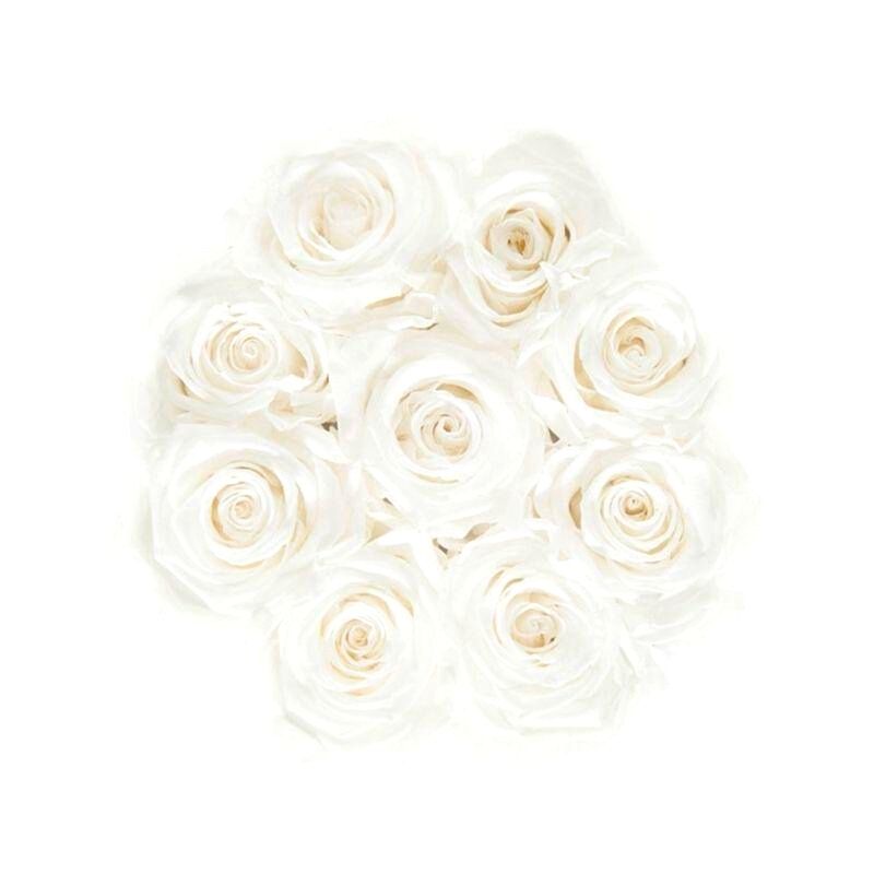 ROSES ÉTERNELLES
