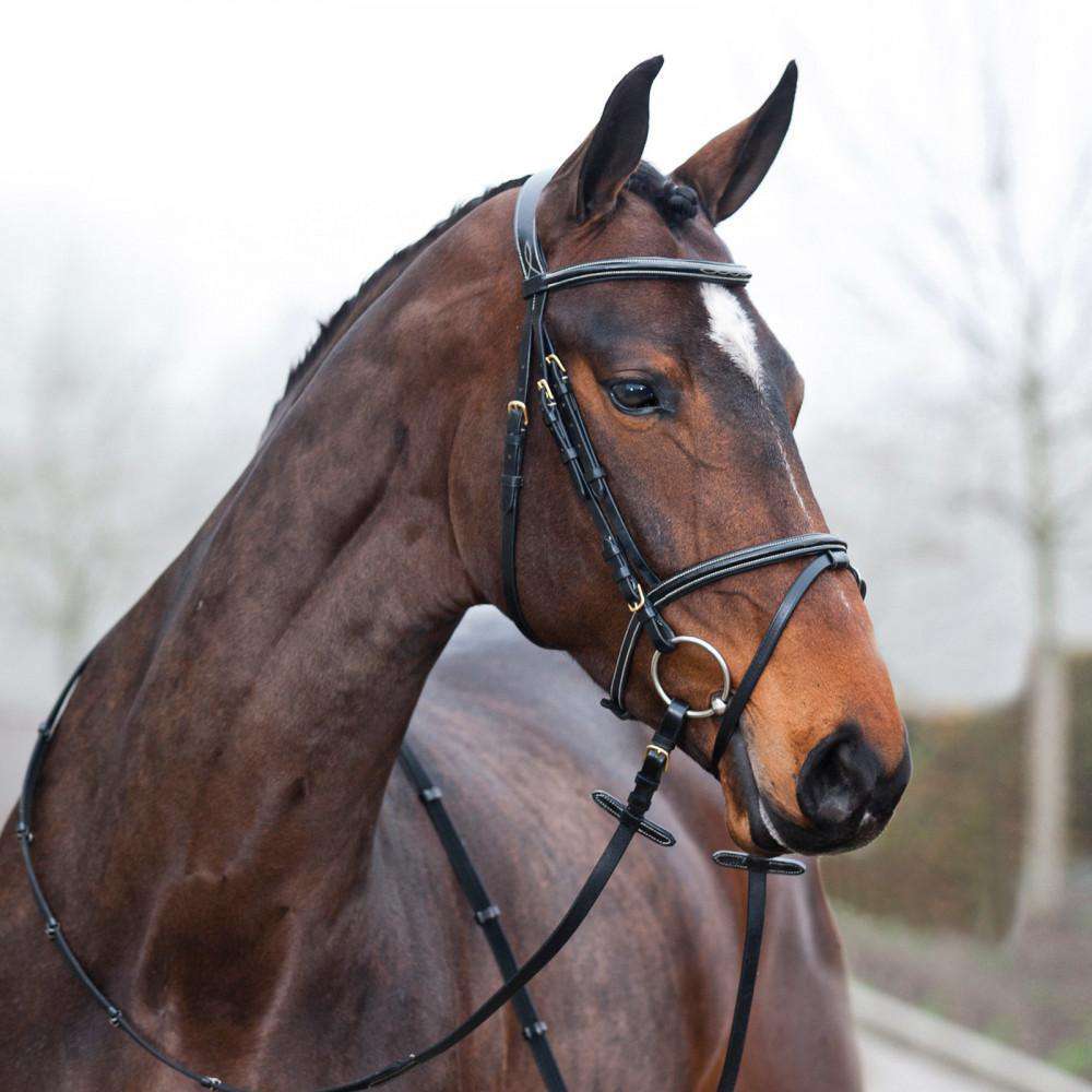 Horze Horse Pony Slender 5/8" Web English Dressage Leather Stopper Horse Reins 
