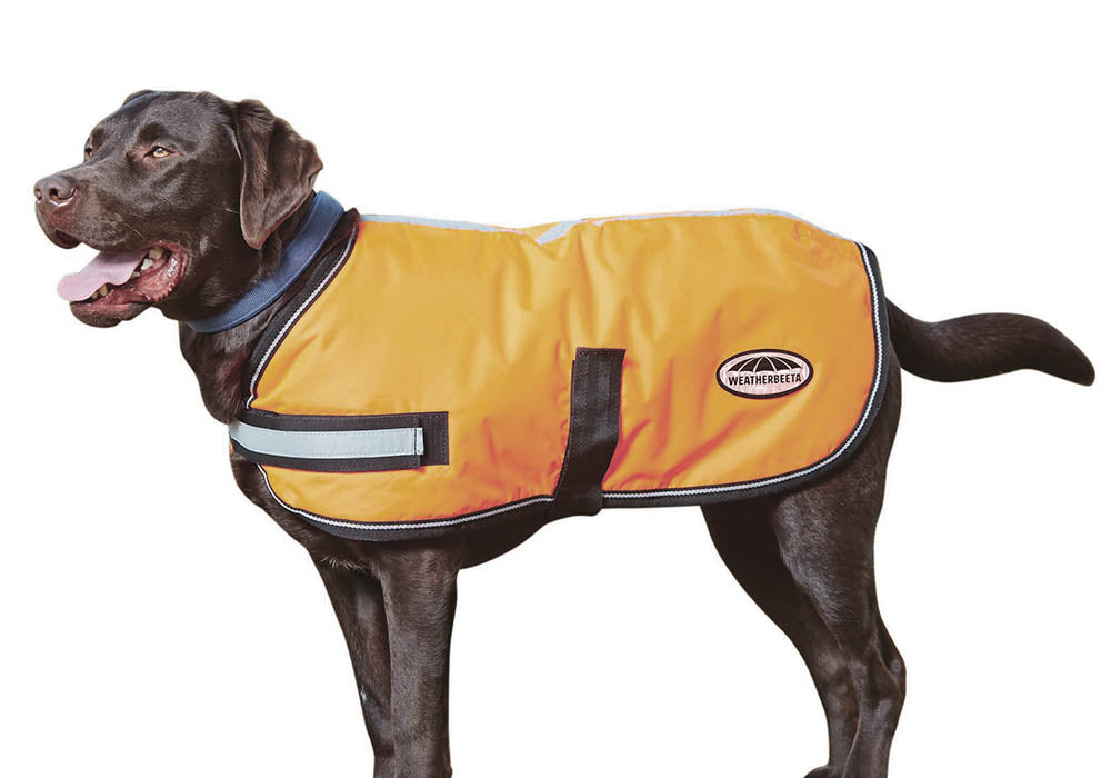 Equisafety Reflective Mercury Dog Coat Yellow S 
