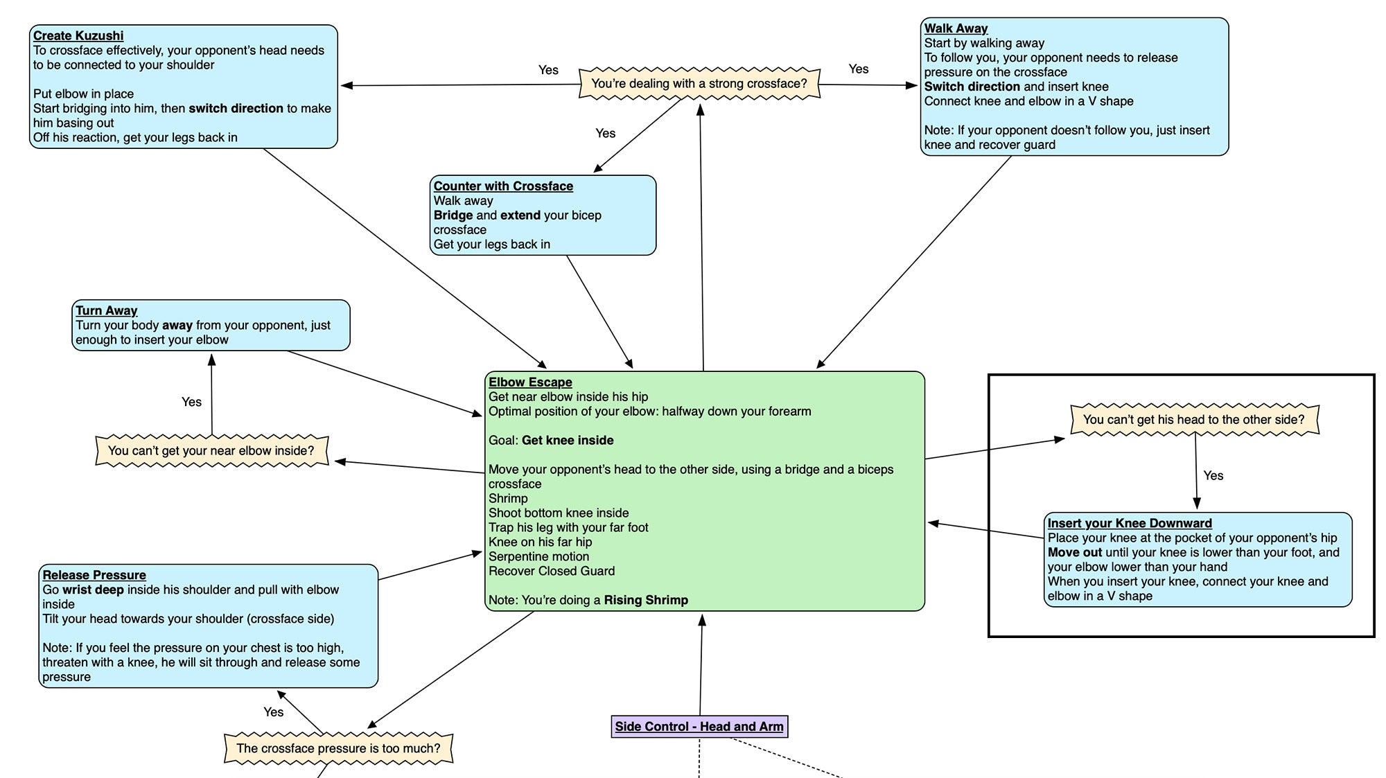 BJJFlowCharts-Pin Escapes & Turtle Escapes-Go Further Faster by John Danaher