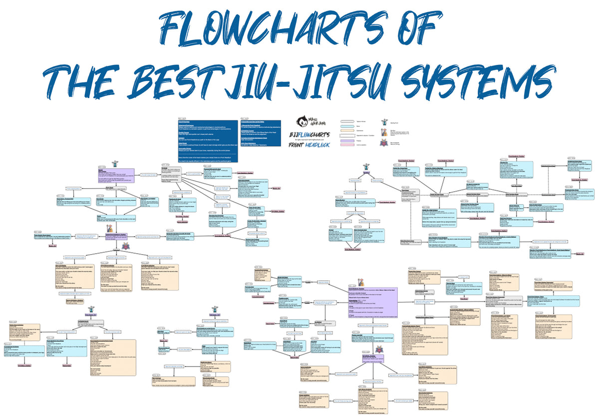 Bjj Flow Chart