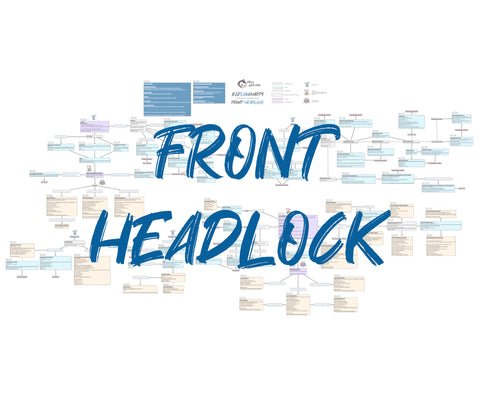 BJJFlowCharts-Front Headlock-Enter the System by John Danaher