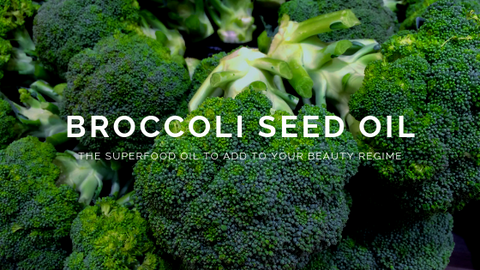 broccoli seed oil blog banner