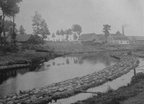 Flax bundles retting in the River Lys, Belgium