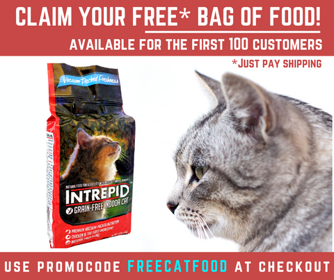 free cat food intrepid pet