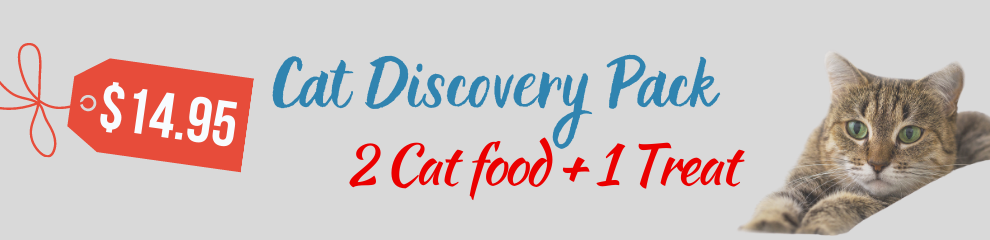 Cat Discovery Pack Intrepid pet