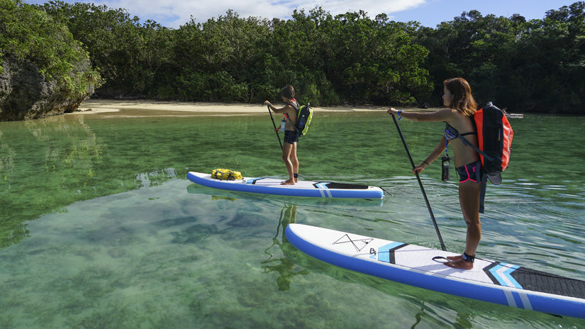 How to start a career as a paddle board instructor
