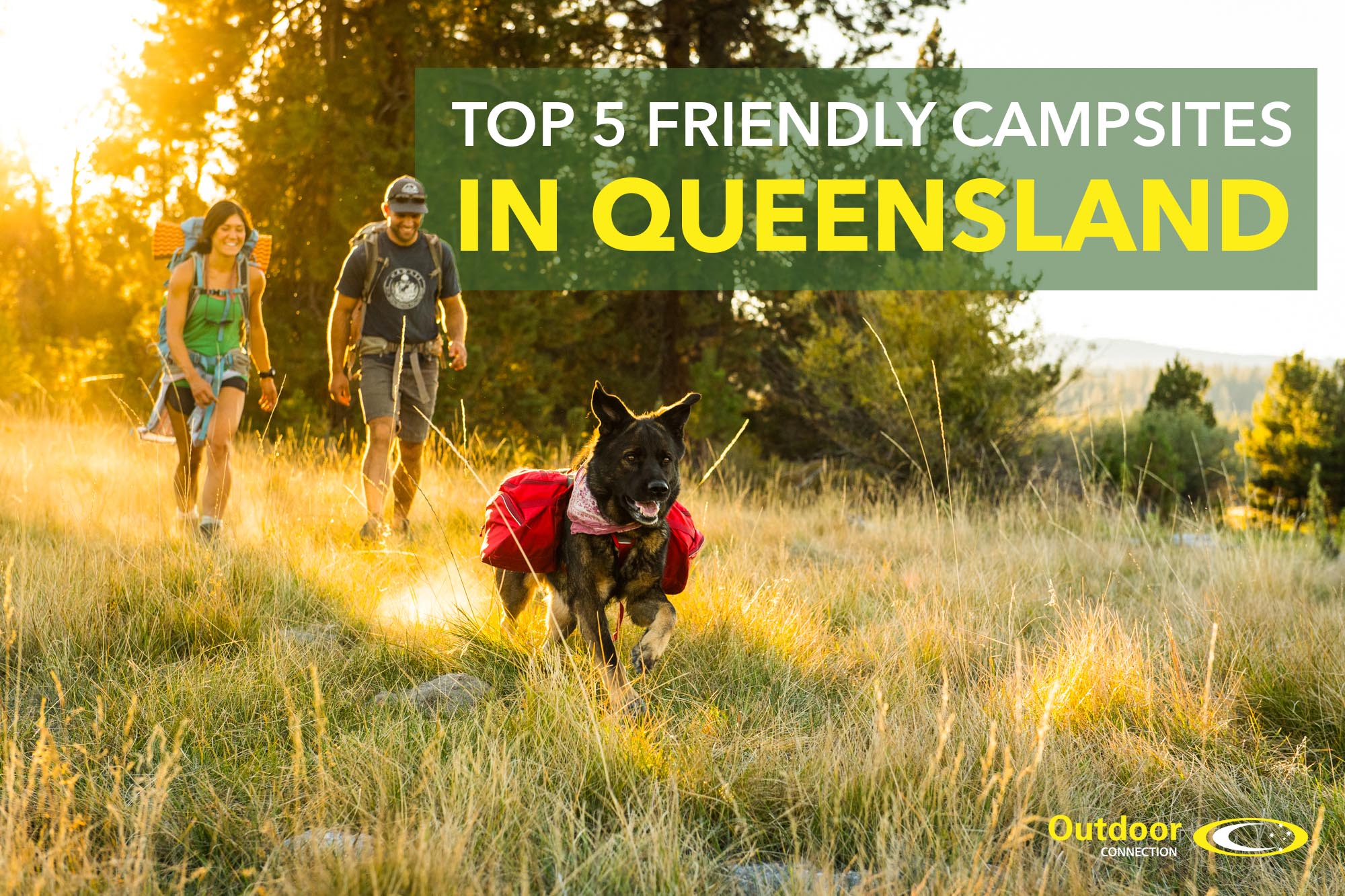 Top 5 Pet Friendly Campsites in Queensland