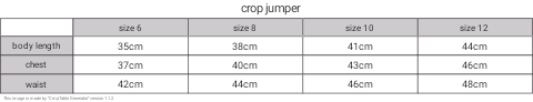 crop jumper size chart
