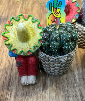 Mexicana potted cactus gift