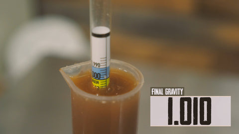 final gravity of fermented beer at 1.010 read with a hydrometer 