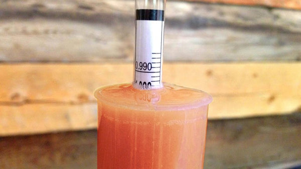 Take a hydrometer reading to calculate alcohol %