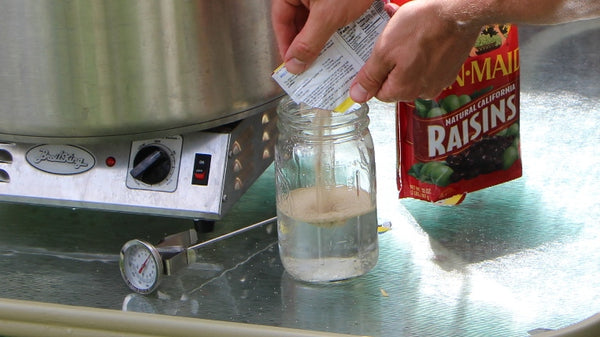 Making a yeast starter using distillers, ale, or bread yeast