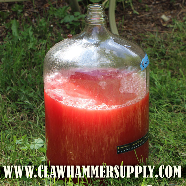 Carboy full of watermelon juice