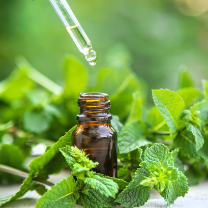 How to Make Peppermint Oil at Home – Clawhammer Supply