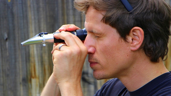 Take a brix refractometer reading