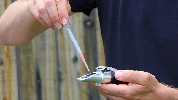 Use a brix refractometer to calculate starting gravity