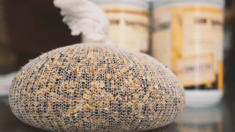 steeping grains for extract brewing