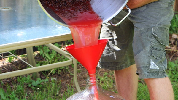 Transfer watermelon mash to carboy