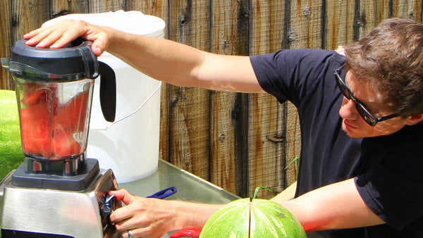 Add watermelon chunks to blender
