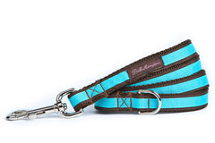 Chocolate/Turquoise Stripe