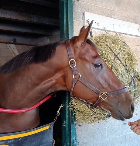 Tench, owned by Duncan Lloyd, Caroline Cooper, and others, at Keeneland.