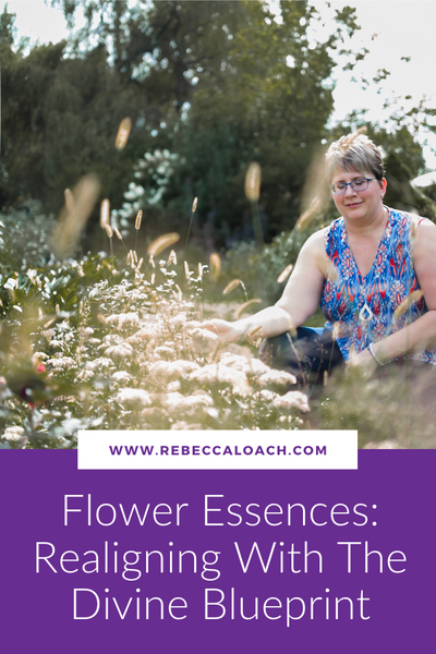 Working with flower essences provides us powerful, transformative energies that help us to realign with our Divine Blueprint and realign with the energies of clarity, freedom, and expansion every day. In this article, flower essence alchemist Rebecca Loach describes the power of flower essences in conscious evolution.