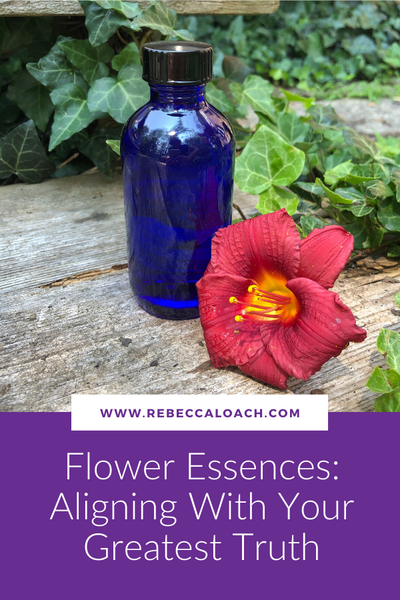 Nature provides us with exactly what we need to align with our greatest truth.⁣⁣ In this blog post, flower essence alchemist Rebecca Loach shares how flower essences can support you through your personal evolutionary growth process during this chaotic and challenging time.