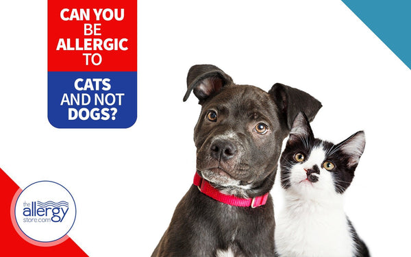 can you be allergic to only certain dogs