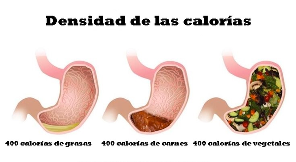 Cómo elegir alimentos cuando se come fuera de casa