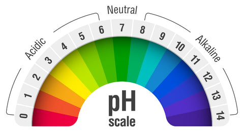 Ph Scale Indicater