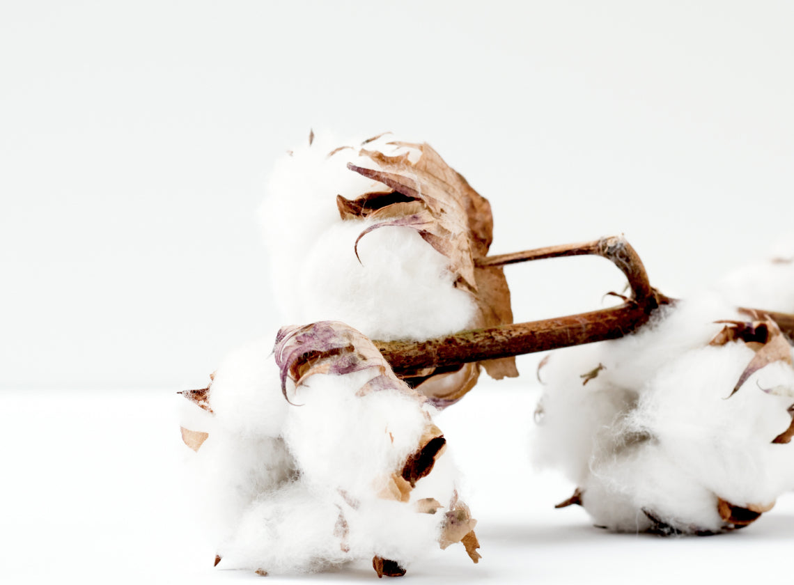 Organic Wool