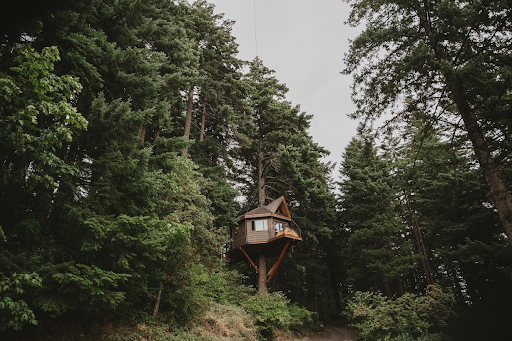 East Meets Dress Nature Inspired Outdoors Taiwanese American Wedding with Treehouse