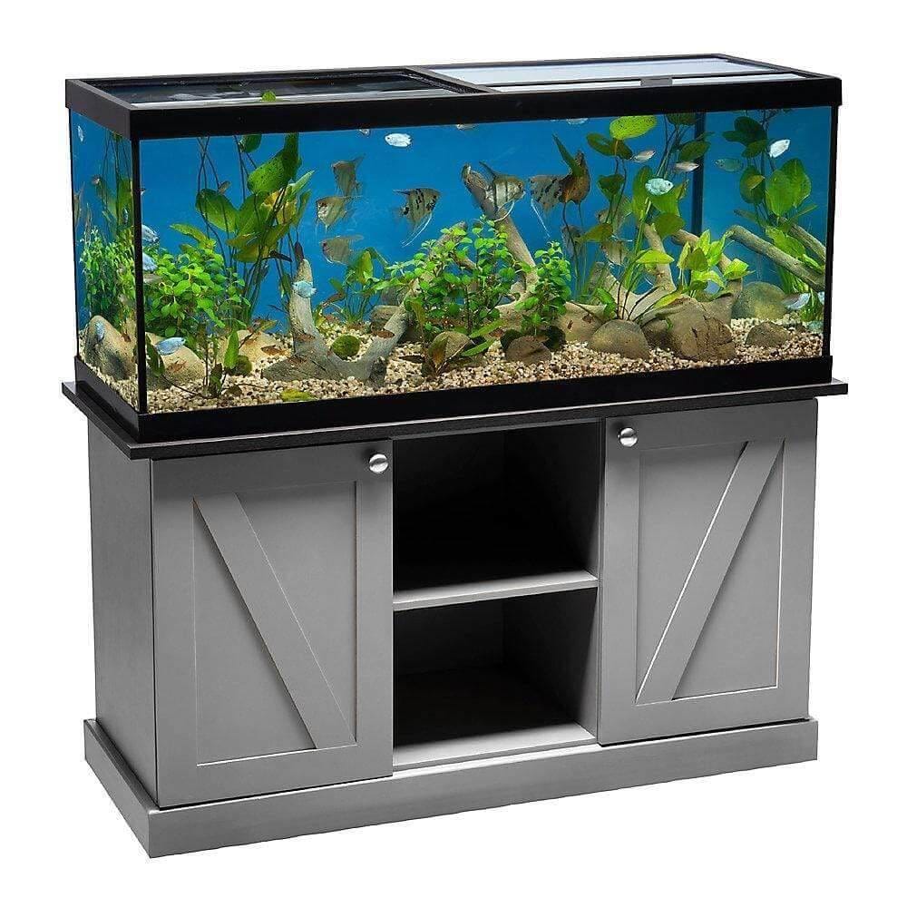 Toevallig het dossier vrouw Buy Fish Accessories | Best Aquarium Furniture – Talis Us