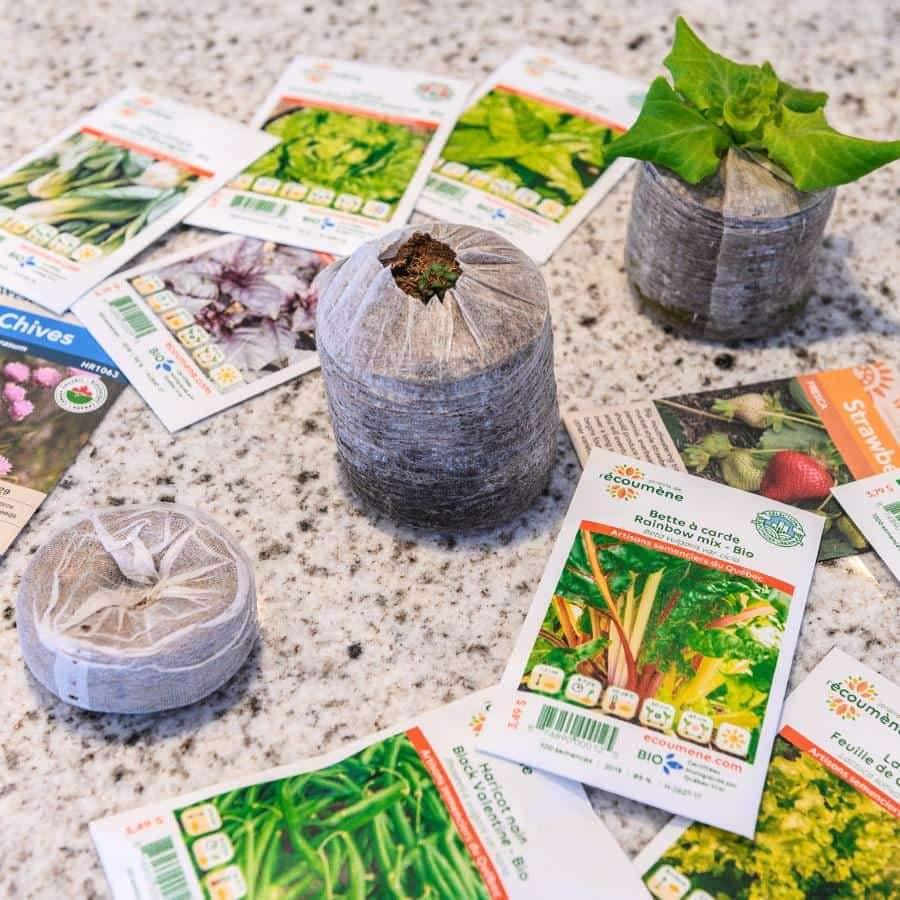 Peppermint – Organic - OGarden Store