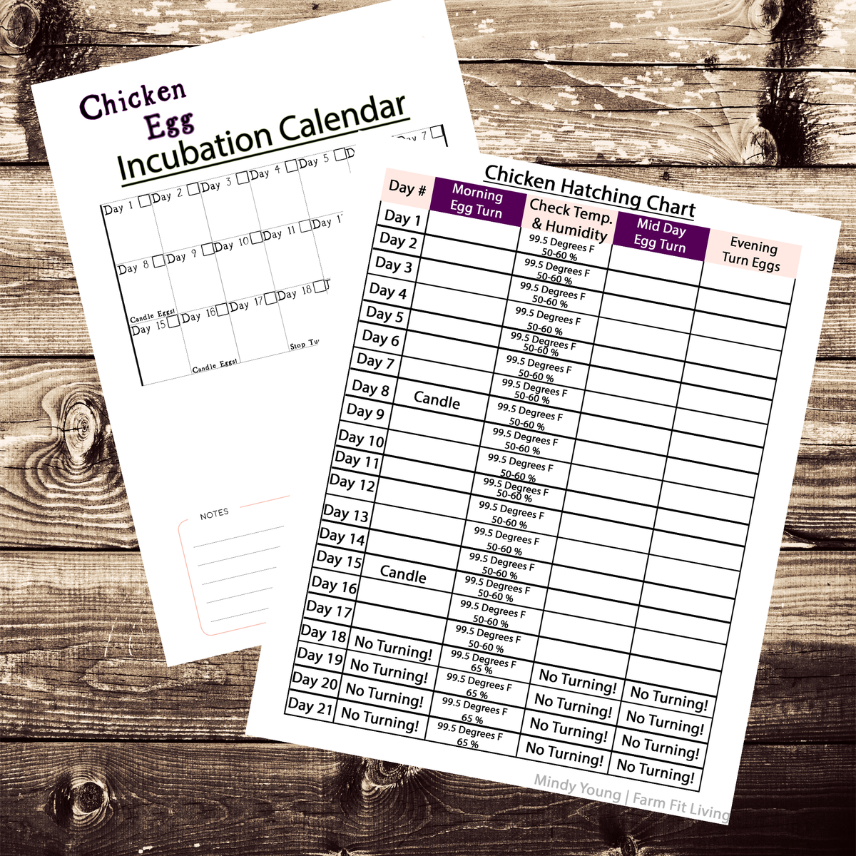 Chicken Egg Incubation Chart & Calendar Set Farm Fit Living