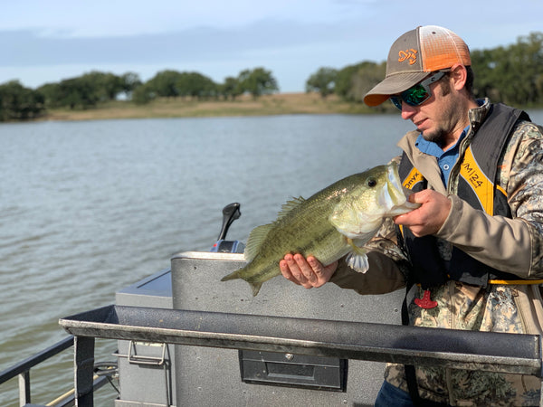 Measuring Largemouth Bass during Electrofishing Survey