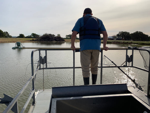 Pond King Fisheries Biologist Conducting Electrofishing Survey