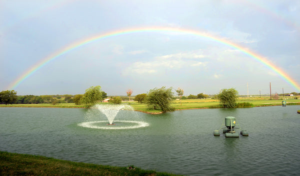 Rainbow Over a Healthy Pond