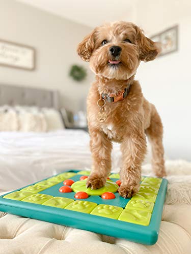 Nina Ottosson by Outward Hound Dog Twister Interactive Treat Puzzle Dog Toy