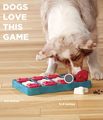 Outward Hound Dog Brick Interactive Treat Puzzle Dog Toy, Intermediate