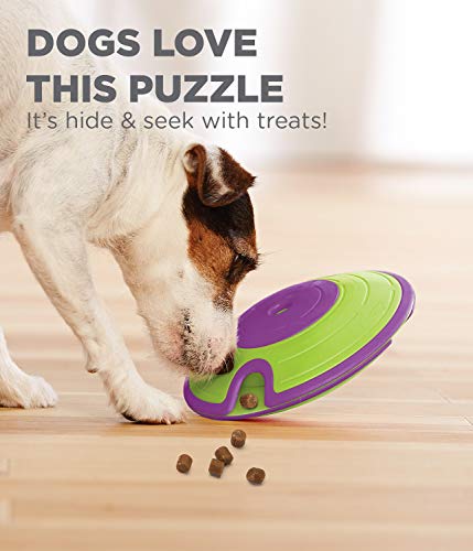 Outward Hound Dog Brick Interactive Treat Puzzle Dog Toy, Intermediate