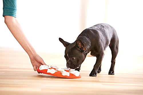 Outward Hound Dog Brick Interactive Treat Puzzle Dog Toy, Intermediate