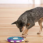 Outward Hound Dog Brick Interactive Treat Puzzle Dog Toy, Intermediate