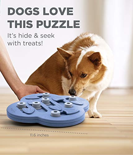 Outward Hound Dog Brick Interactive Treat Puzzle Dog Toy, Intermediate